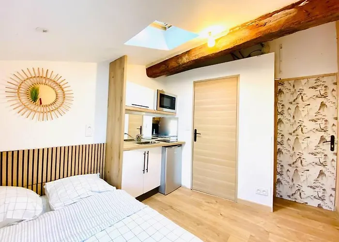 Tiny Flat - Coeur De Ville Studio Sous Les Toits